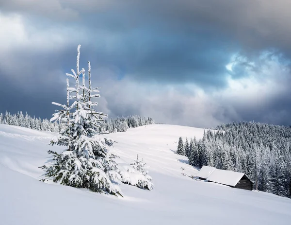 冬天在山里 在雪中的云杉和一个古老的木房子的景观 天空与云彩 — 图库照片