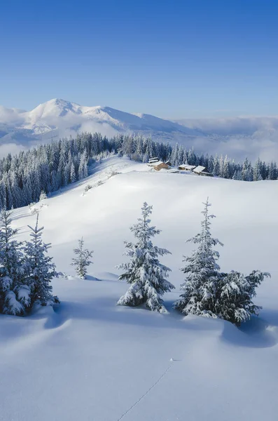 Wunderschöne Winterliche Berglandschaft Blick Auf Holzhütten Und Gipfel Sonniges Wetter — Stockfoto