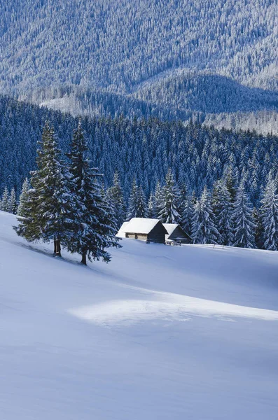 Paisaje Invierno Navidad Cabañas Montaña Bosque Nevado Abeto Día Soleado —  Fotos de Stock