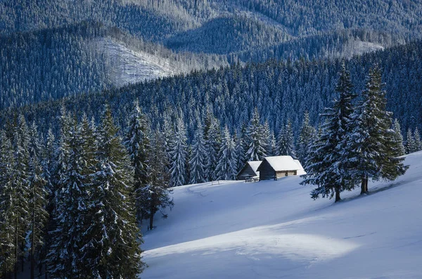 クリスマス冬の風景 山小屋と雪の中でモミの木 日当たりの良い天気 — ストック写真