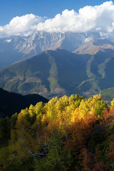 Svaneti 조오지 있는을 구름에서 Ushba 피크입니다 마운트 Mkheer에서 언덕에 자작나무 — 스톡 사진