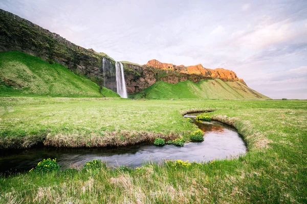 Seljalandsfoss Güzel Görkemli Şelale Zlanda Nın Ünlü Turistik — Stok fotoğraf