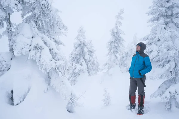 Kışın Karlı Bir Ormanda Hiking Aşağı Ceketli Adam Turist Güzel — Stok fotoğraf