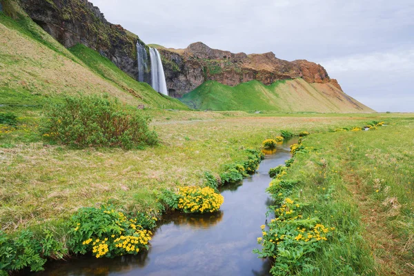 Wodospad Seljalandsfoss Letni Krajobraz Rzeką Atrakcja Turystyczna Islandii — Zdjęcie stockowe