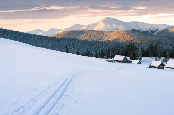 Berge Winter Mit Skipisten Schöne Schneelandschaft Mit Gipfel Sanftes Licht — Stockfoto