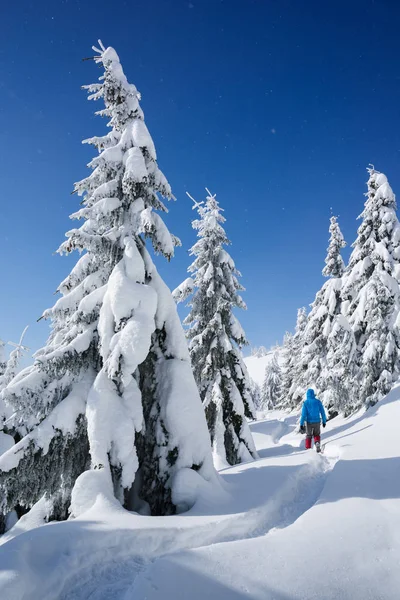 Hiking Winter Snowshoes Snowy Christmas Landscape Guy Walking Path Mountain — Stock Photo, Image