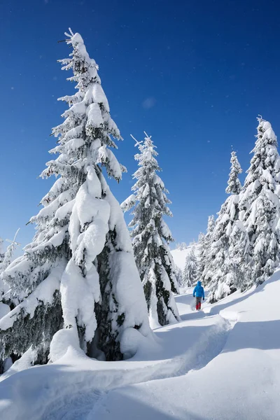 Wandern Winter Mit Schneeschuhen Verschneite Weihnachtslandschaft Mann Der Einen Pfad — Stockfoto