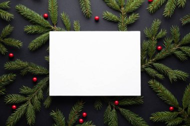 Noel tatil kopya alanı metin için arka plan. Düz yatıyordu, en iyi görünüm. Dekoratif çerçeve köknar şube ve holly Karpuzu. Kağıt duyuru sayfası