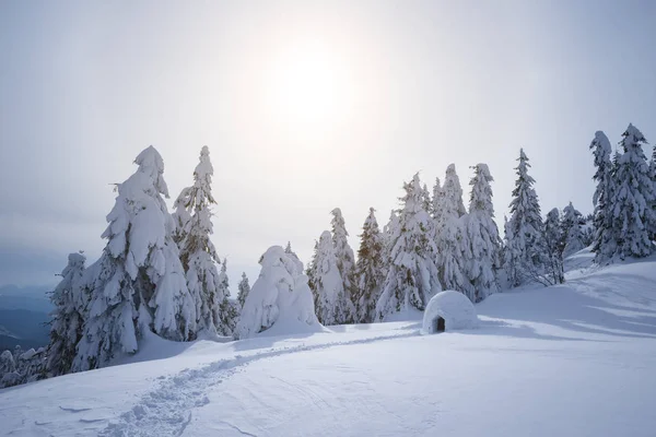 Iglu Neve Inverno Nas Montanhas Paisagem Com Abrigo Para Turistas — Fotografia de Stock