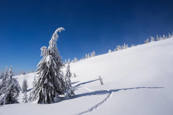 Горные Походы Зимой Солнечная Погода Голубое Небо Пейзаж Тропой Деревьями — стоковое фото