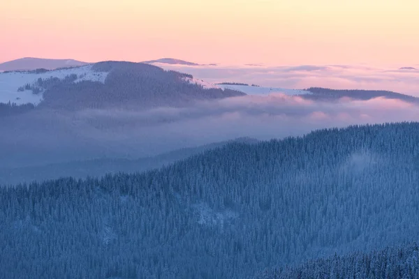 Amanhecer Nas Montanhas Paisagem Inverno Com Floresta Nevada Nas Encostas — Fotografia de Stock