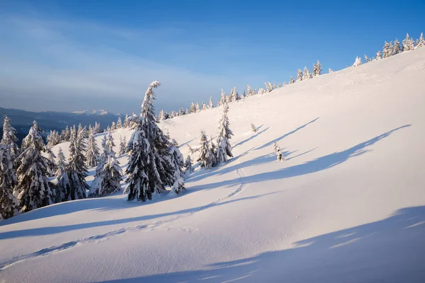 Berg Winterlandschap Met Vuren Forest Sneeuw Zonnig Weer Ijzig Dag — Stockfoto