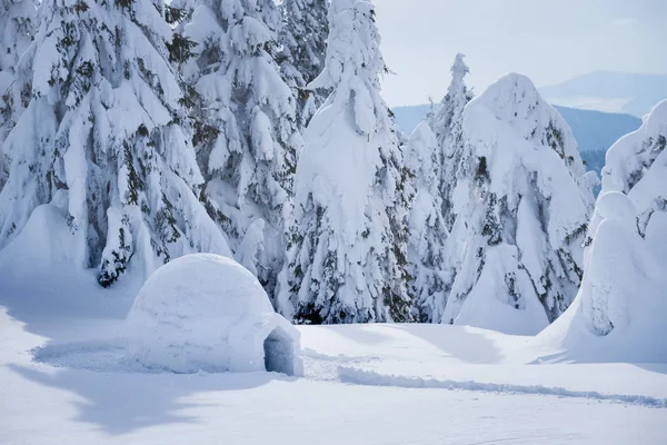 Winterlandschaft Mit Schnee Iglu Extremcamping Für Abenteuerlustige Tannenwald — Stockfoto