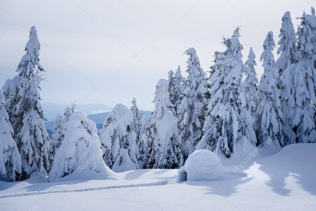 Snow igloo. Winter in the mountains. Landscape with shelter for extreme tourists. Adventure Outdoors