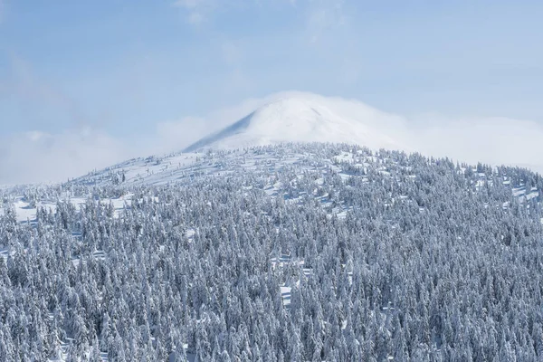 Piek Van Berg Met Sneeuw Wolken Strenge Winterlandschap Vuren Bos — Stockfoto