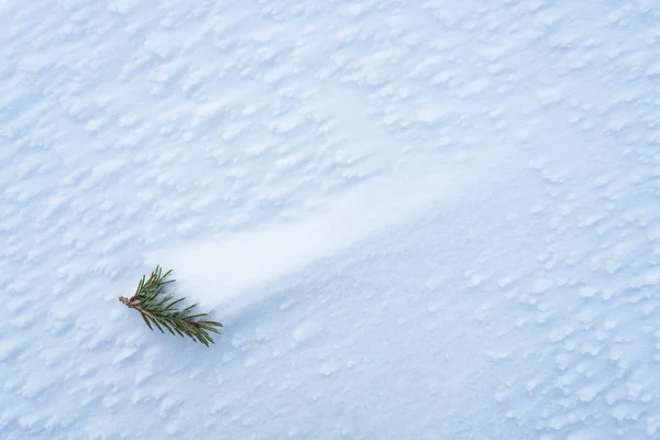 冬の背景コピーのテキストのための領域に ブリザード後の雪カバーの着霜のテクスチャです 雪の吹きだまりで針でモミの木の枝 厳しい風の天気予報 — ストック写真
