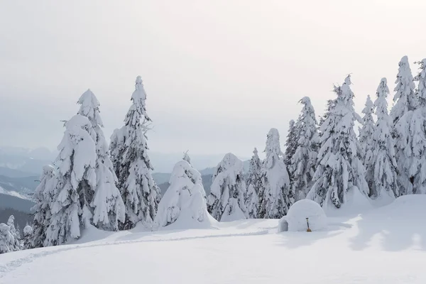 Iglú Nieve Senderismo Montaña Invierno Paisaje Con Refugio Para Turistas — Foto de Stock