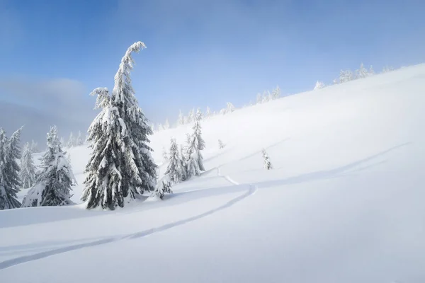 Χειμώνα Φόντο Αντίγραφο Χώρου Χιονισμένο Καιρικές Συνθήκες Στο Βουνό Δάσος — Φωτογραφία Αρχείου
