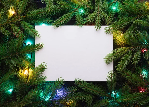 用于广告文字的圣诞卡 杉木树枝和圣诞灯的装饰框架 — 图库照片
