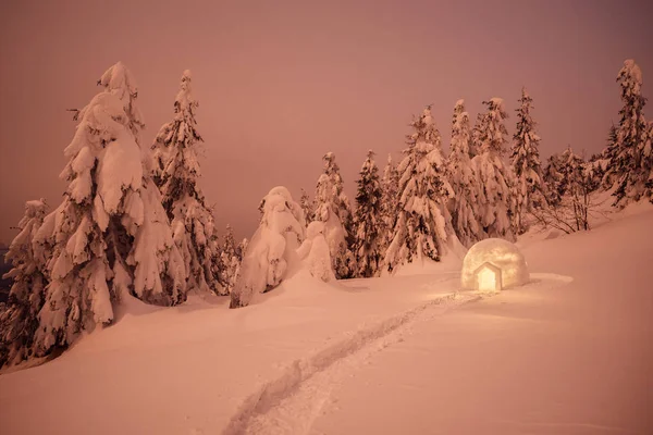 Noc Zima Krajobraz Eskimo Igloo Lasu Świerkowego Śniegu — Zdjęcie stockowe