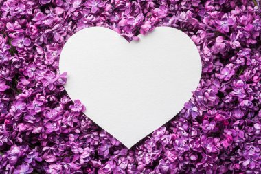 Sevgililer günü kartı kopya alanı ile metin tebrik için. Eflatun çiçekler arka plan üzerinde kalp