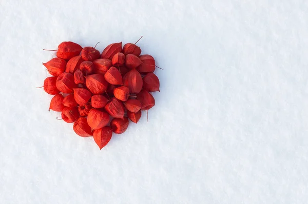 Tarjeta San Valentín Con Corazón Rojo Sobre Nieve Fondo Festivo —  Fotos de Stock