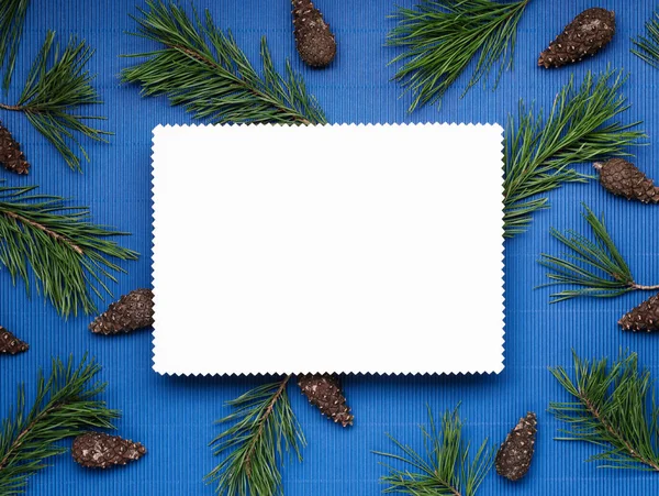Fehér Karácsonyi Kártya Kék Háttér Fenyő Ágak Kúpok Fenyő Üres — Stock Fotó