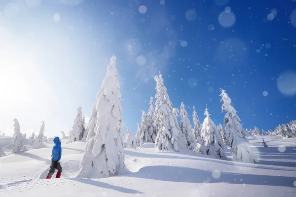 Amazing Winter Adventure Mountain Forest Guy Stands Snowdrift Looks Large — Stock Photo, Image