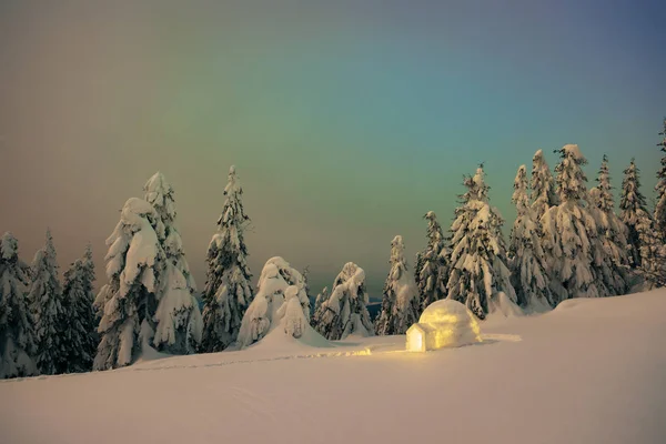Igloo Neve Uma Floresta Montanha Vista Noturna Com Abetos Nevados — Fotografia de Stock