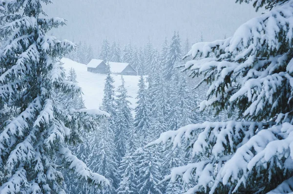 Zimní Scéna Horský Dům Sněhu Forest Pokryta Mrazu Zamračený Den — Stock fotografie