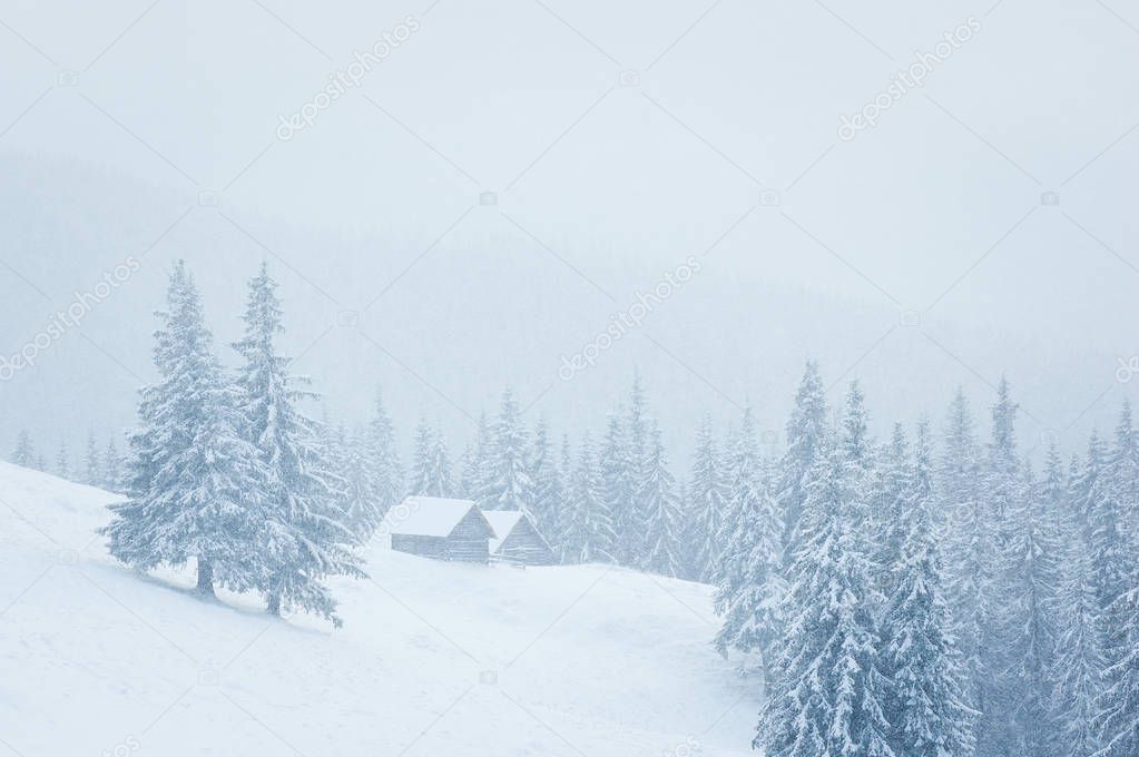 Dreamy winter landscape with a mountain house in the snow. Fog in the spruce forest. Trees covered in frost