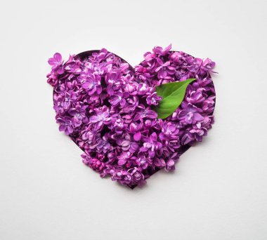 Mutlu sevgililer günü kartı beyaz zemin üzerine eflatun çiçek çiçek kalpli