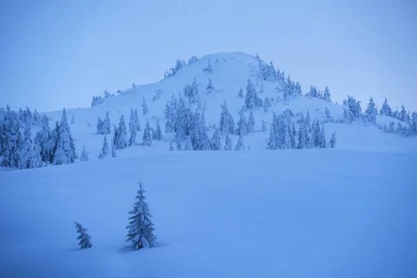 Wunderschöne Winterlandschaft Den Bergen Fichten Schnee Und Schneeverwehungen Hang Blaue — Stockfoto