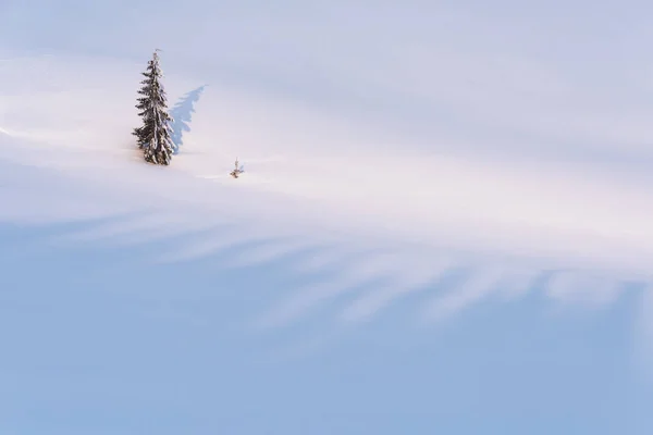 Einsamer Tannenbaum Den Winterbergen Schneebedeckter Hintergrund Mit Kopierplatz Für Text — Stockfoto