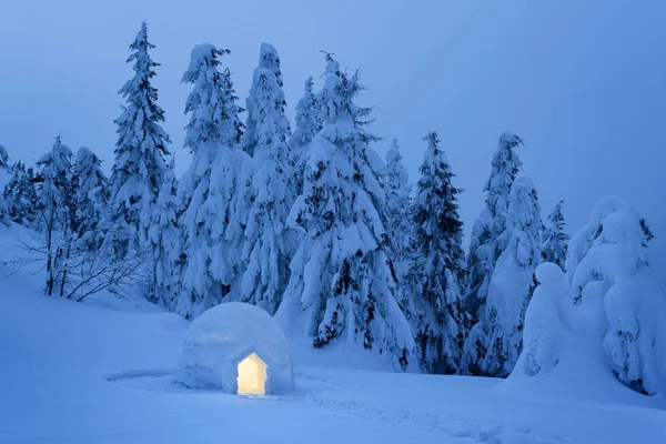 Nieve Iglú Bosque Montaña Vista Nocturna Con Abetos Nevados Escena —  Fotos de Stock
