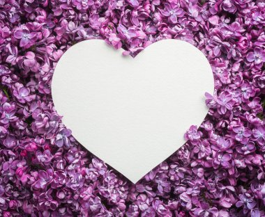 Sevgililer günü kartı kopya alanı ile metin tebrik için. Eflatun çiçekler arka plan üzerinde kalp