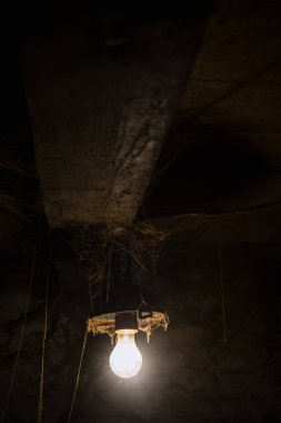 Örümcek ağları ve ampulleri ürpertici Oda. Kasvetli korkunç sahne. Kahverengi zemin tasarımı ile kopya alanı için