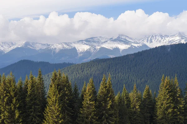 Printemps Dans Les Montagnes Paysage Avec Dernière Neige Fondante Sur — Photo