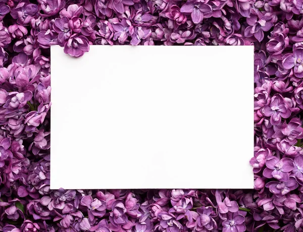 Spring kort med lila blommor ram — Stockfoto