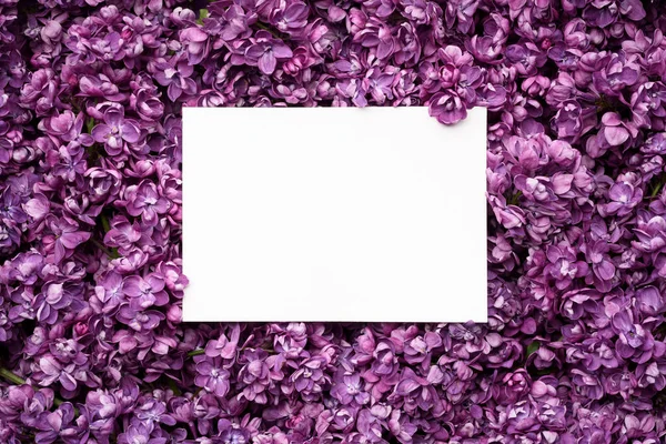 Spring background with lilac flowers frame — Stock Photo, Image