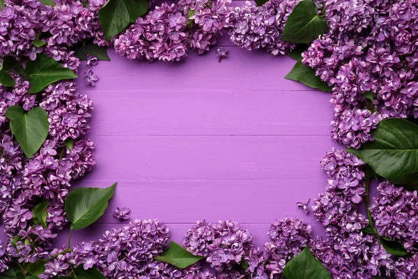 Lente kaart met een Lila frame van bloemen — Stockfoto