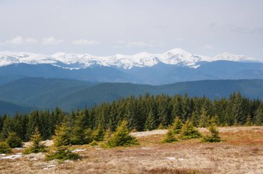 bahar dağ manzarası
