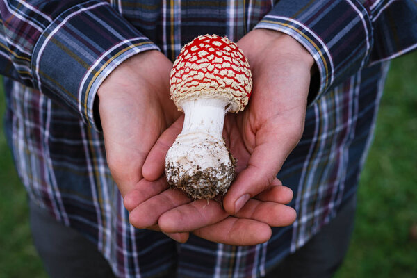 Bright autumn mushroom