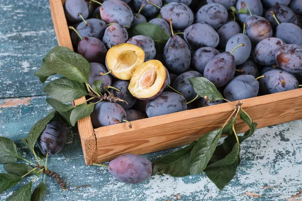 Bir ev bahçesinden erik hasat