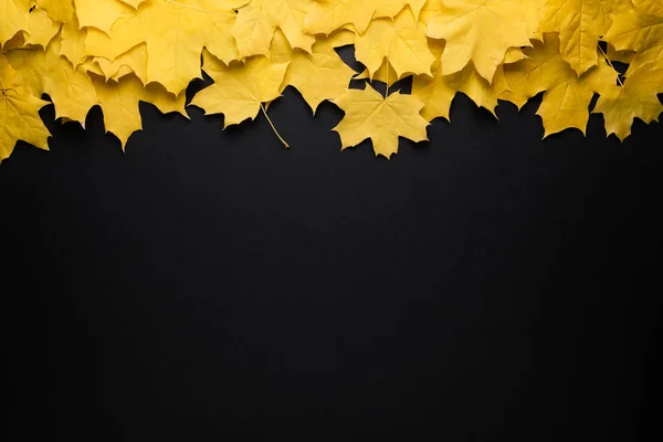 Herbst Hintergrund, Herbst Laub Grenze — Stockfoto