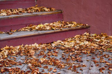 Bir şehir caddesinde düşmüş sonbahar yaprakları ile arka plan