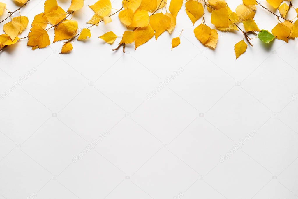 Background with autumn foliage on white