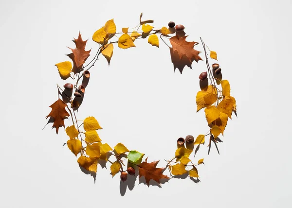 Fondo de otoño con un marco redondo de follaje de otoño — Foto de Stock
