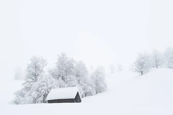 Winter Wonderland med ett trä fjäll hus — Stockfoto