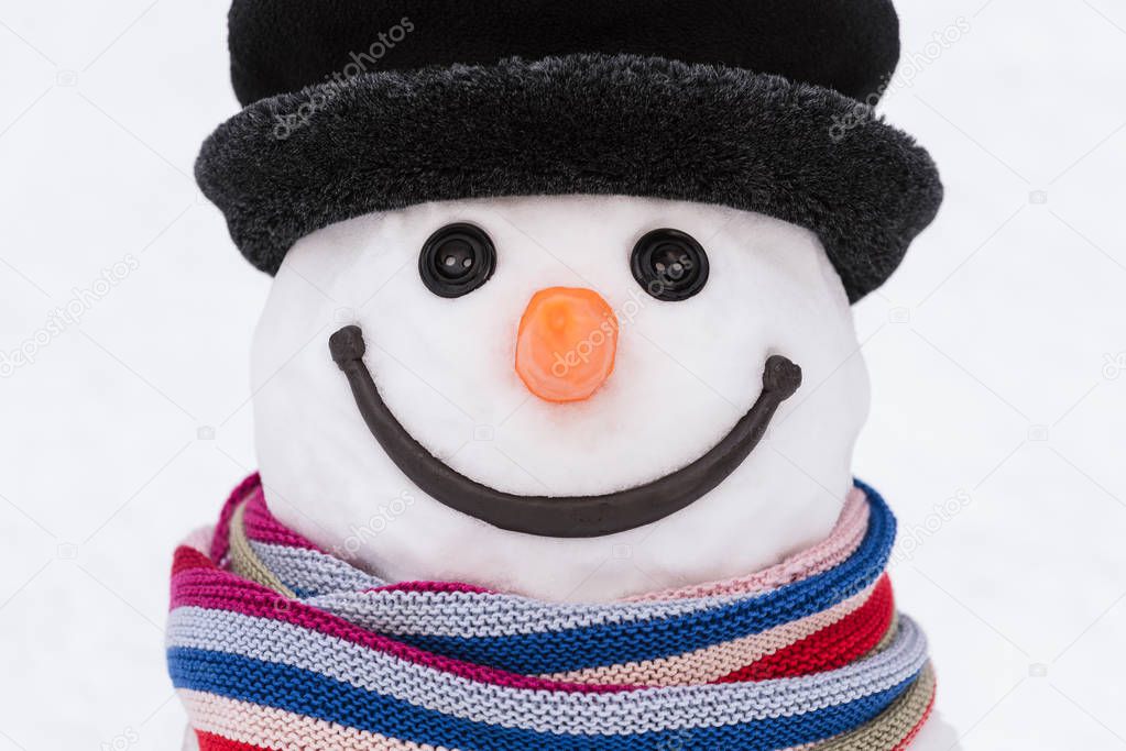 Portrait of a snowman in a hat